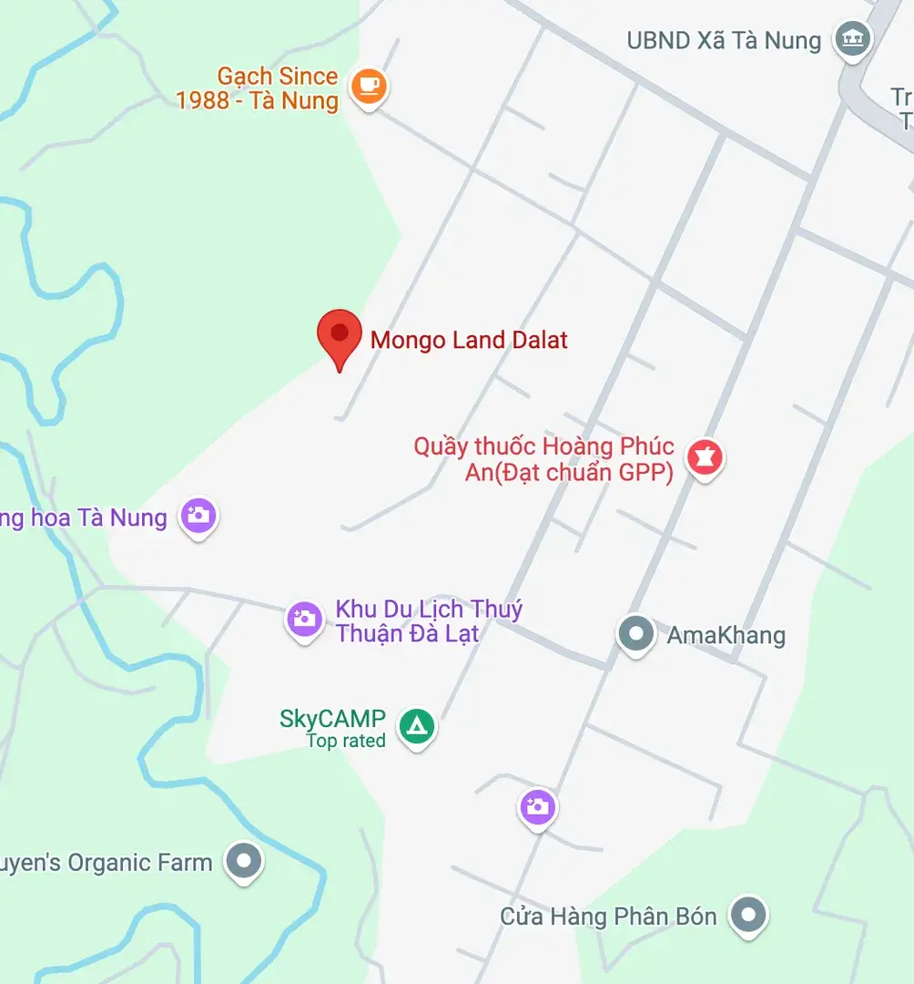 Mongo Land Đà Lạt – Từng là thiên đường check-in, giờ đang xuống cấp?